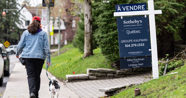 Experts weigh in on the impact of the Bank of Canada's rate cut on market timing for prospective homebuyers.